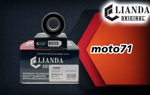 repuesto de moto MOTO71 — ROLINERA 6203 LIANDA